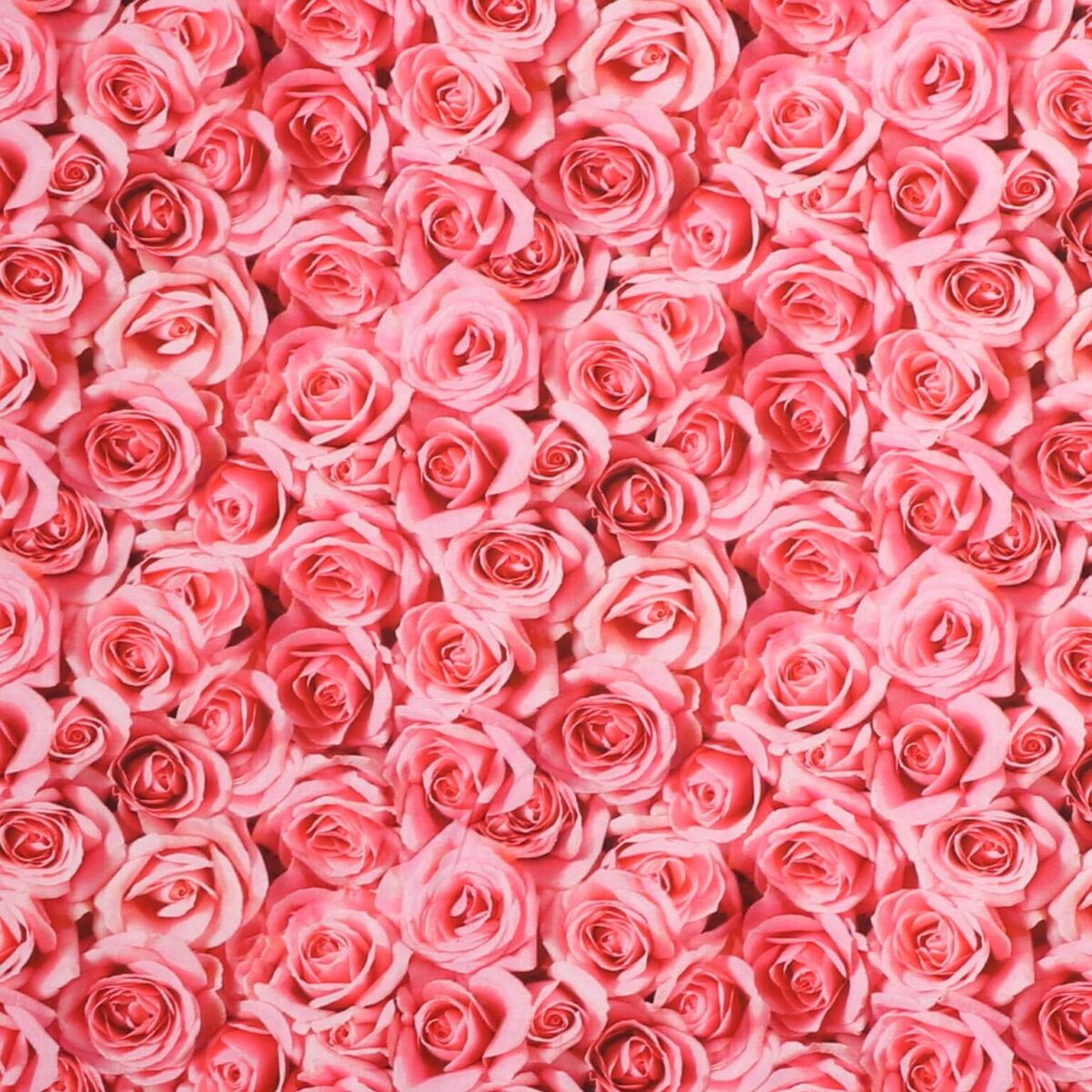 Roser i lyse pink/lyserøde nuancer - Patchwork