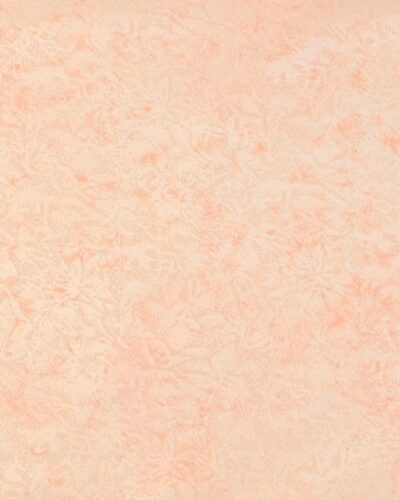 Fairy Frost (Rosa m. perlemor)- Patchwork