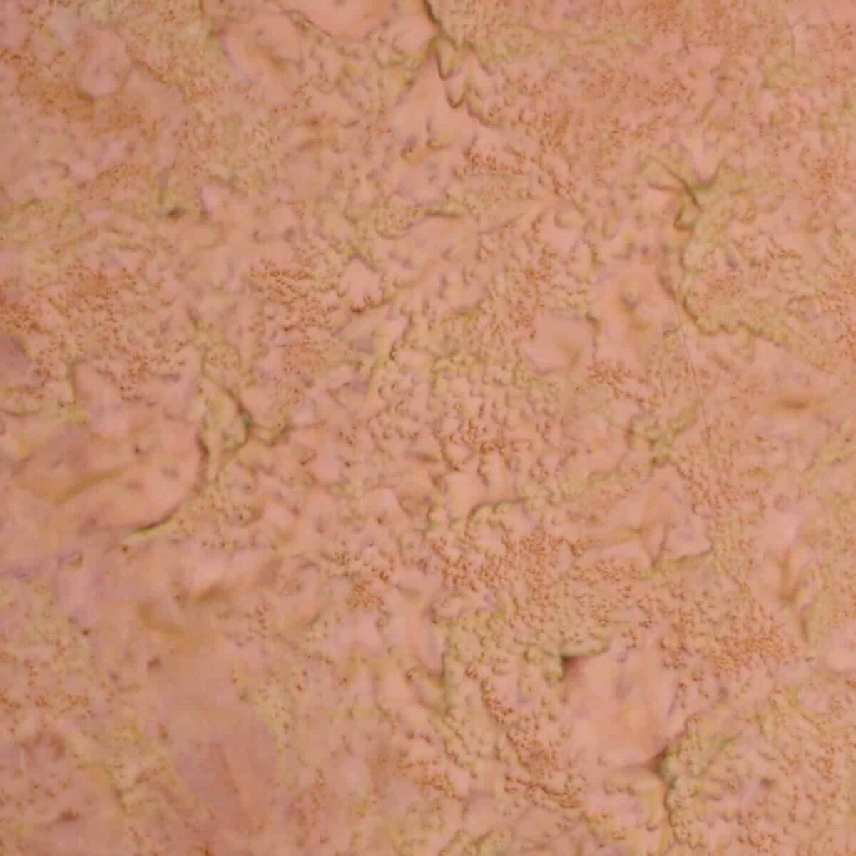 Lyse brune og rosa nuancer - Bali
