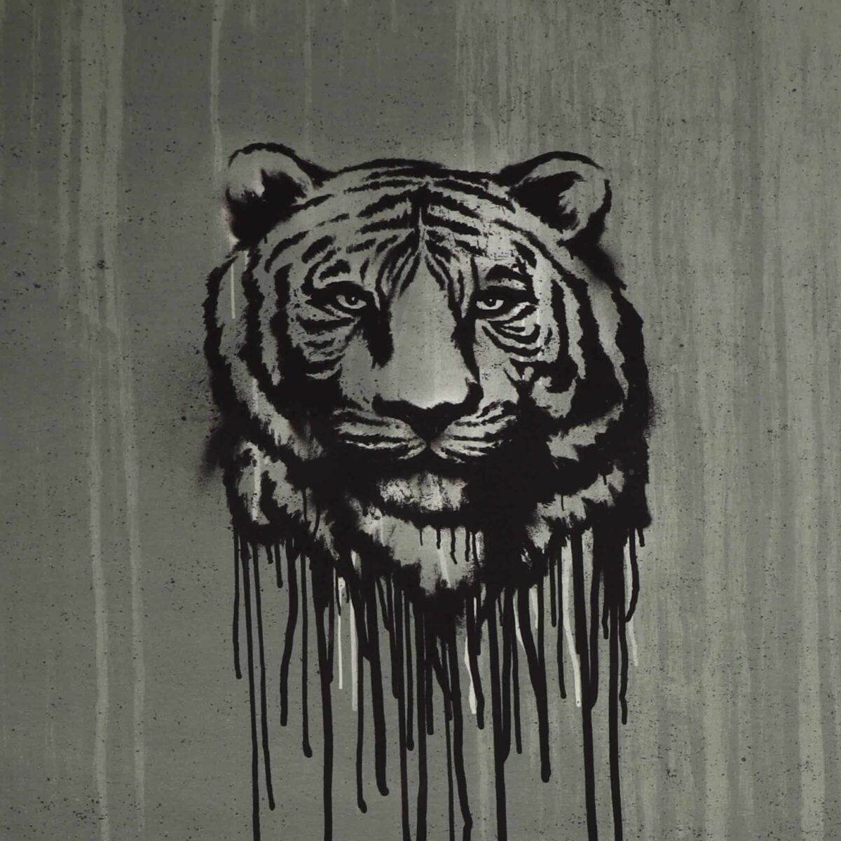 Tiger - jersey rapport (25)