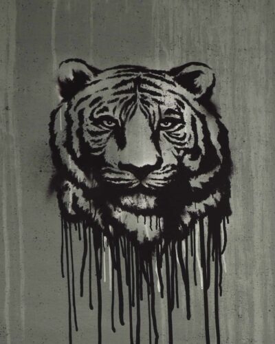 Tiger - jersey rapport (25)