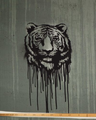 Tiger - jersey rapport (25)