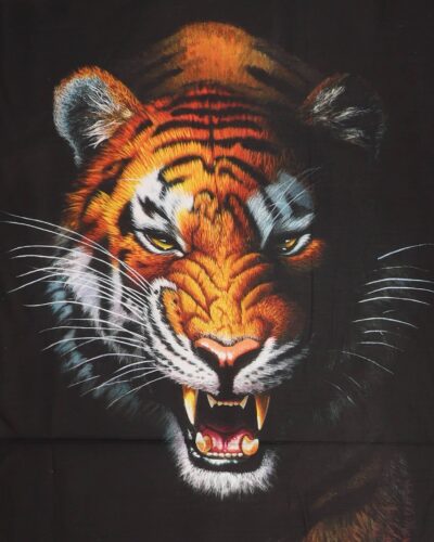 Tiger - Patchwork rapp. (113)