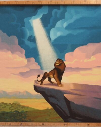 Løvernes Konge (17) - Jersey 9 Løvernes Konge (17) - Jersey