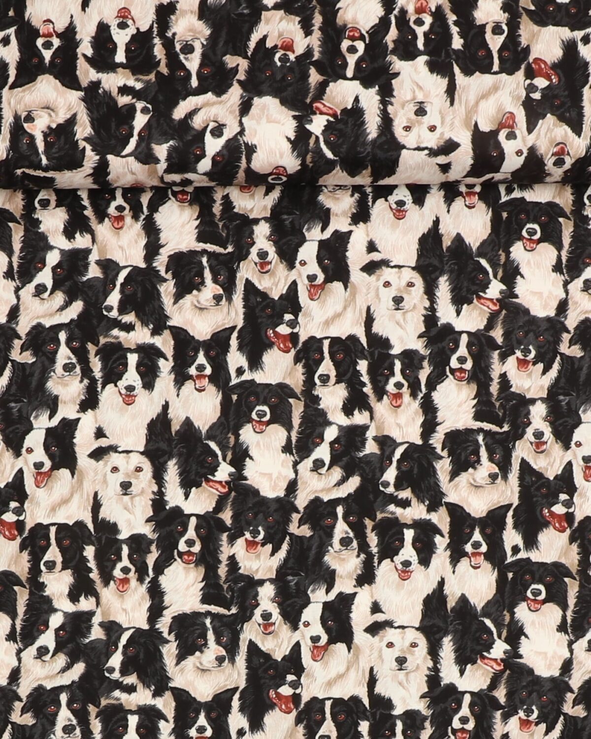 Border Collie - Patchwork