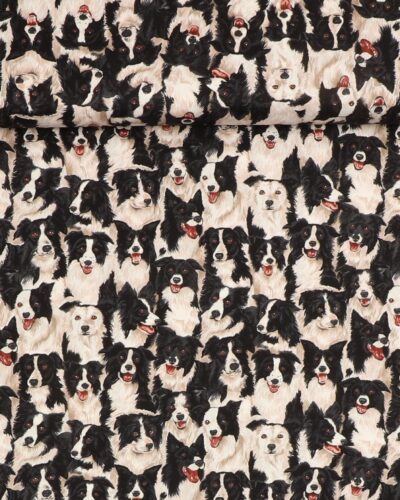 Border Collie - Patchwork