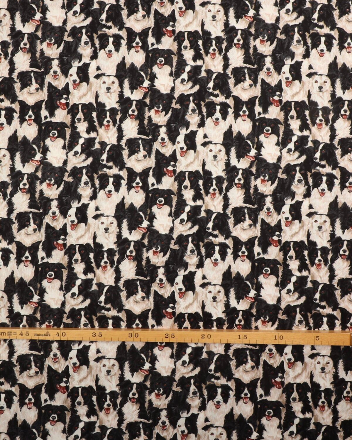 Border Collie - Patchwork - Billede 3