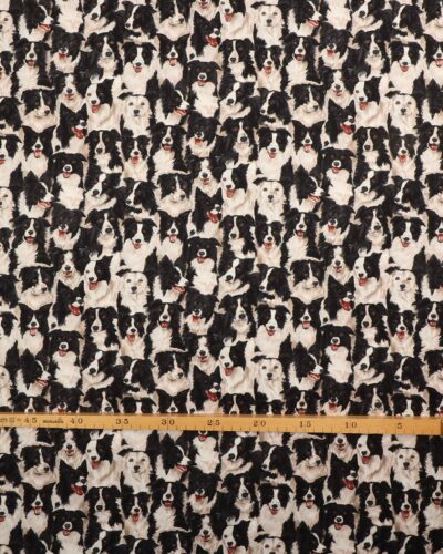 Border Collie - Patchwork