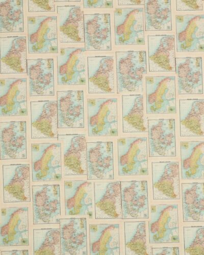 Old Schoole Map 2 - Patchwork