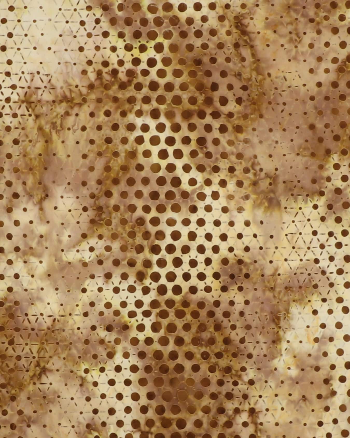 Brune nuancer - Bali 4 Brune nuancer - Bali - Billede 2