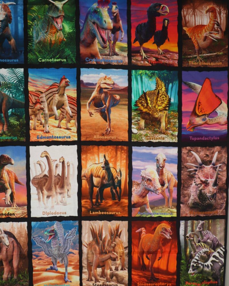 42 forskellige dinosaurer - Patchwork rapport - Info mangler