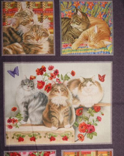 Cats, Katte - Patchwork rapport (nr. 135)