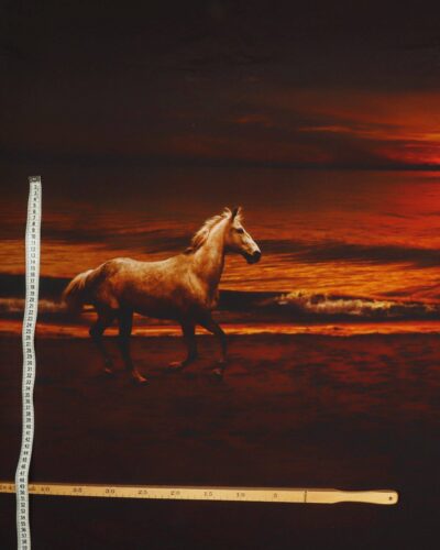 Hest i solnedgang - Jersey rapport 8 Hest i solnedgang - Jersey rapport