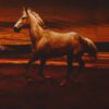 Hest i solnedgang - Jersey rapport - Info mangler