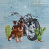 Hund på motorcykel, 3 motiver - Jersey rapport - Info mangler