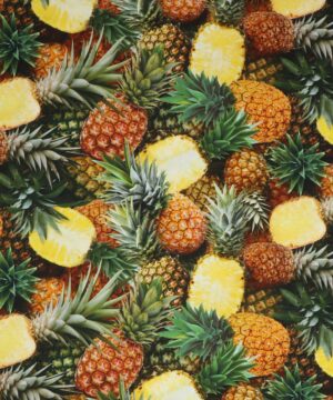 Ananas - Patchwork - Timeless Treasures Fabrics of SoHo