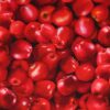 Røde æbler - Patchwork - Info mangler