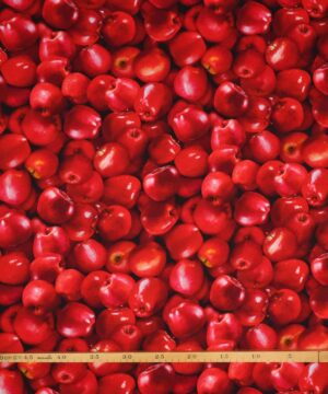 Røde æbler - Patchwork - Timeless Treasures Fabrics of SoHo