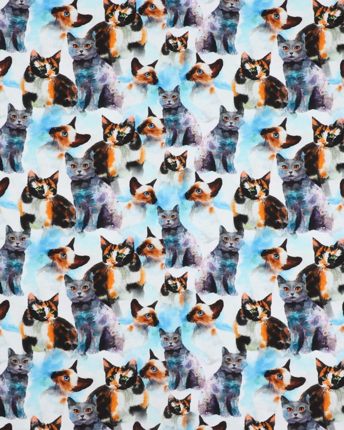 Katte - Jersey