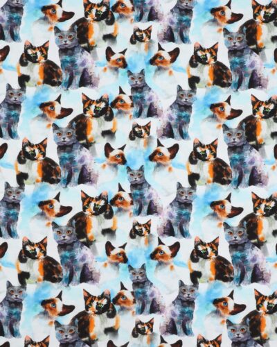 Katte - Jersey