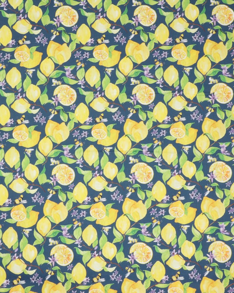 Citroner og bier på blå bund - Patchwork - Paintbrush studio fabrics