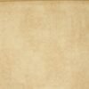 513t30s - Beige