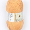 1231 sart orange