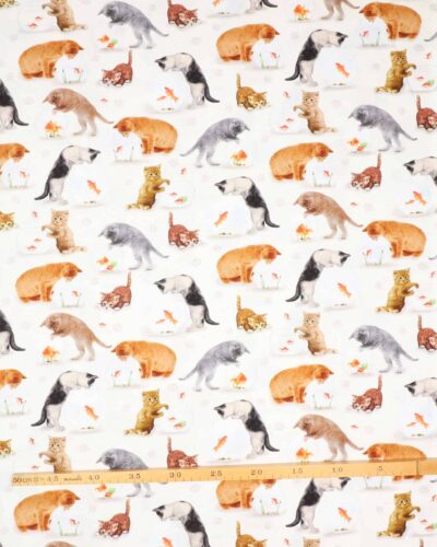 Katte kigger på guldfisk - Patchwork 7 Katte kigger på guldfisk - Patchwork