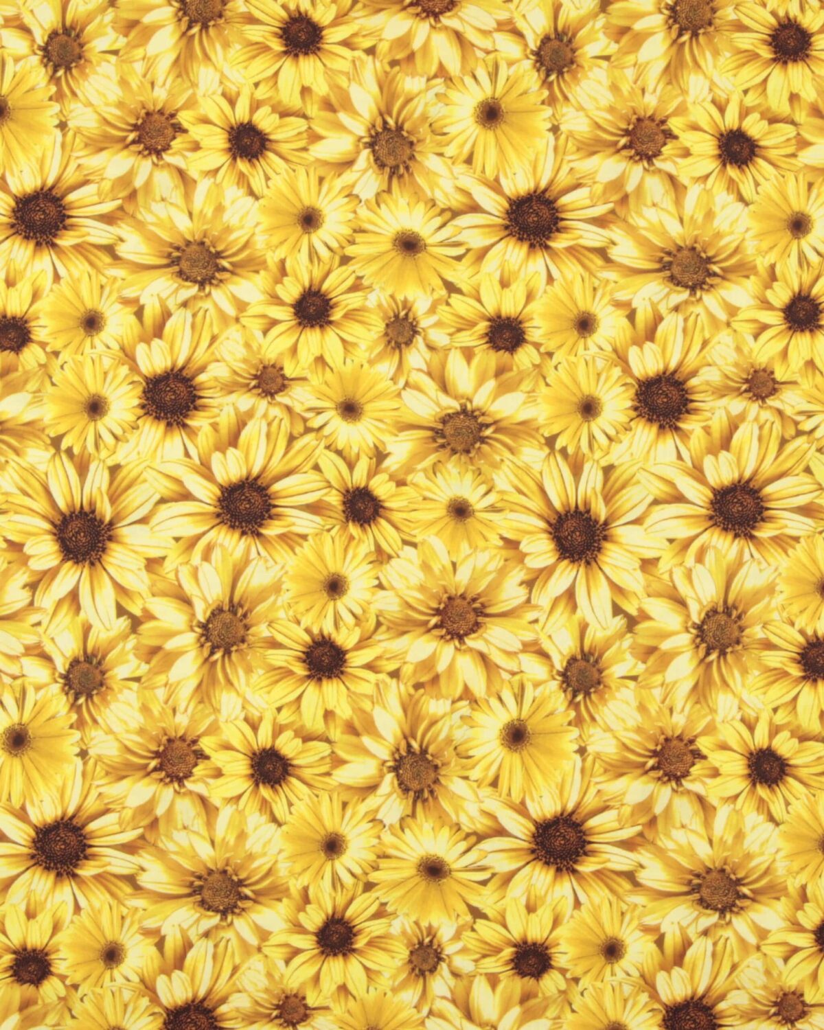 Solsikke staude - Patchwork - Billede 2