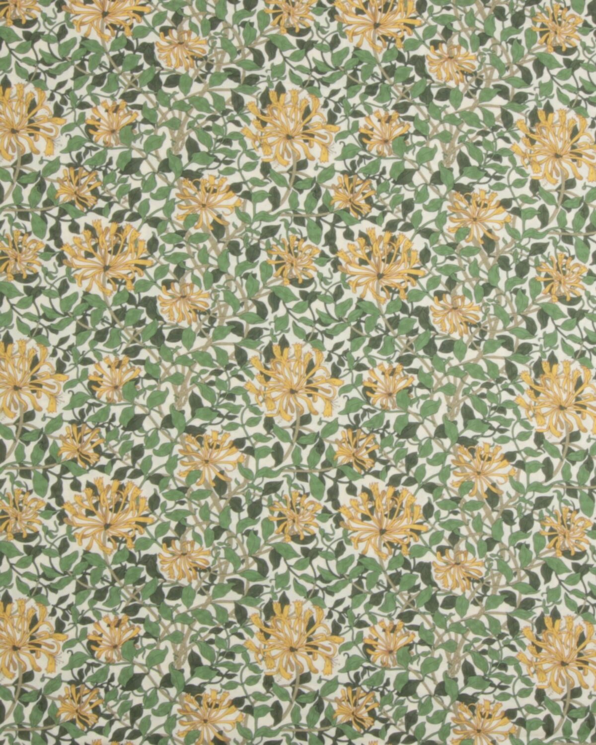 Honeysuckle - William Morris