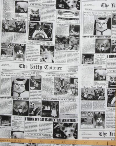 Katte avis - Patchwork 7 Katte avis - Patchwork