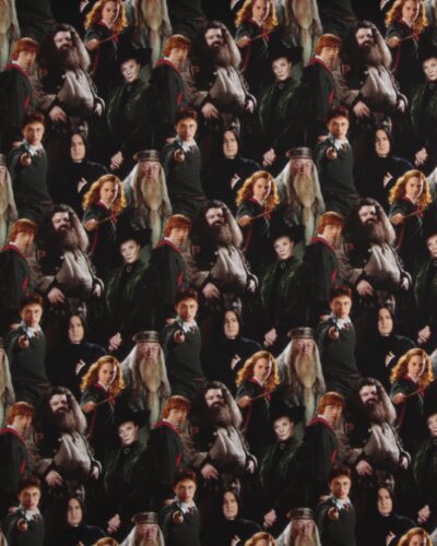 Harry Potter - Jersey