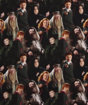 Harry Potter - Jersey - Info mangler