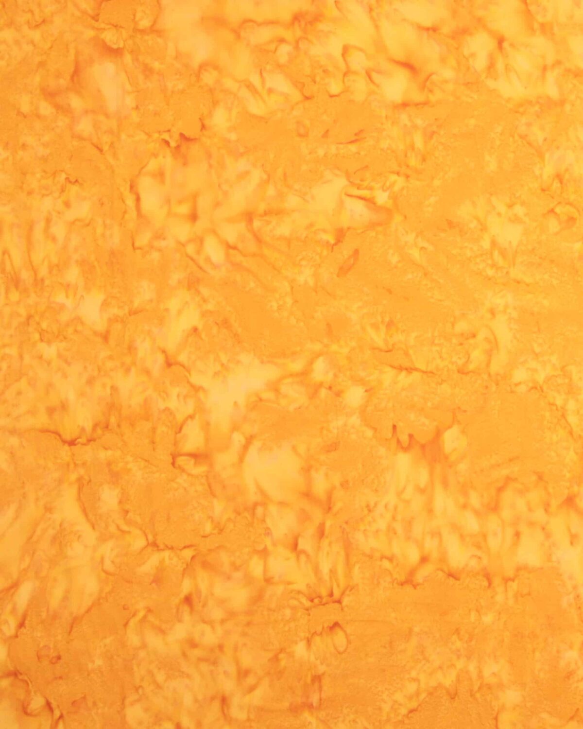 Orangegul - Bali - Billede 2