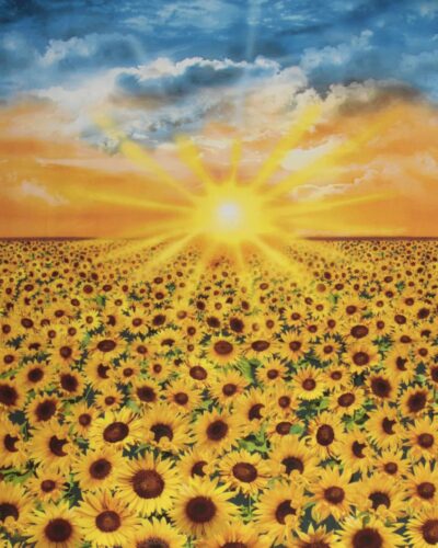 Sol over solsikker - Patchwork rapport
