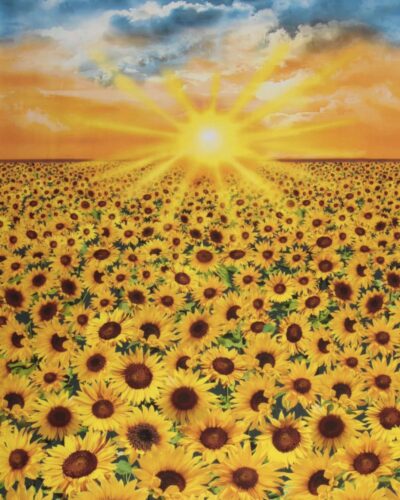 Sol over solsikker - Patchwork rapport