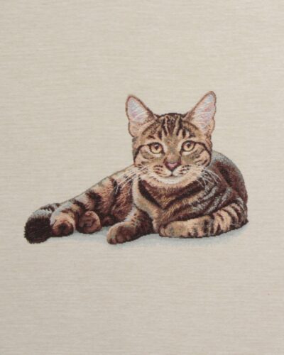 Kat, 45x45 cm - Gobelin