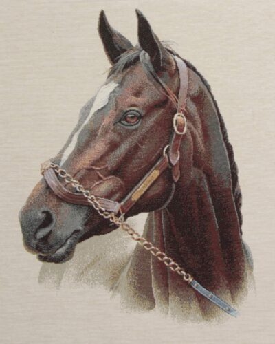 Hest, 45x45 cm - Gobelin