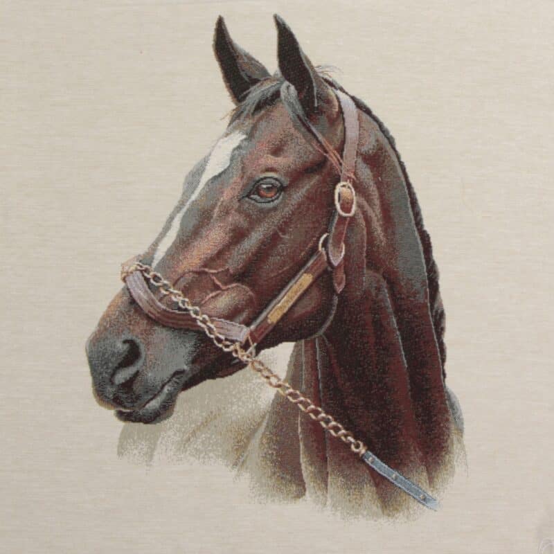 Hest, 45x45 cm - Gobelin