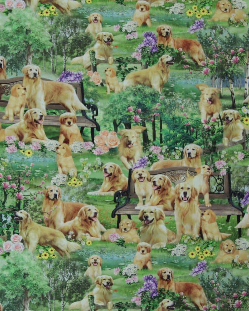 Golden retriever - Patchwork