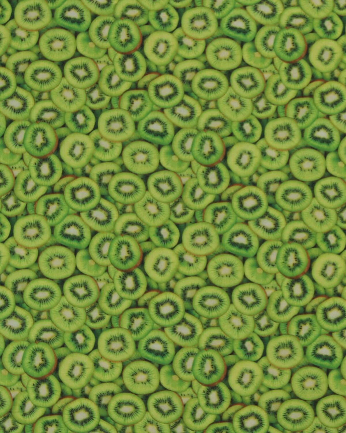 Kiwi - Patchwork - Billede 3