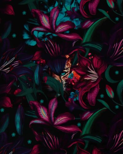 Gepard smugkigger - Jersey