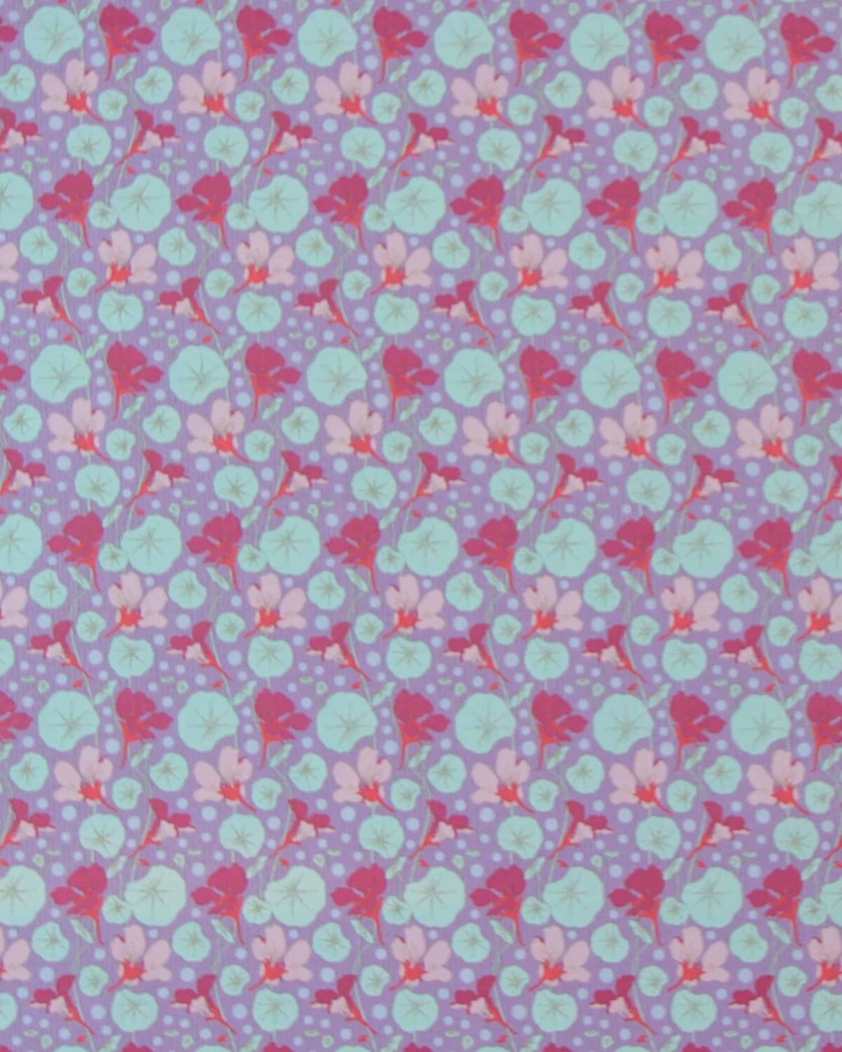 Nastuium Lavender, lilla m. blomster  - Tilda