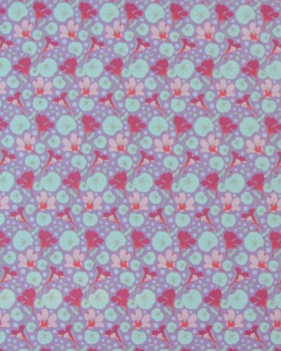Nastuium Lavender, lilla m. blomster  - Tilda