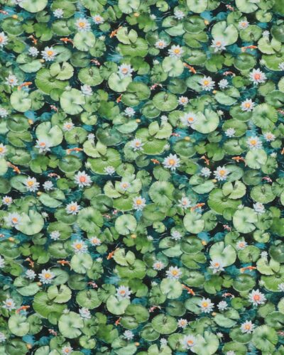 Koi pond, små Koikarper og åkander – Patchwork