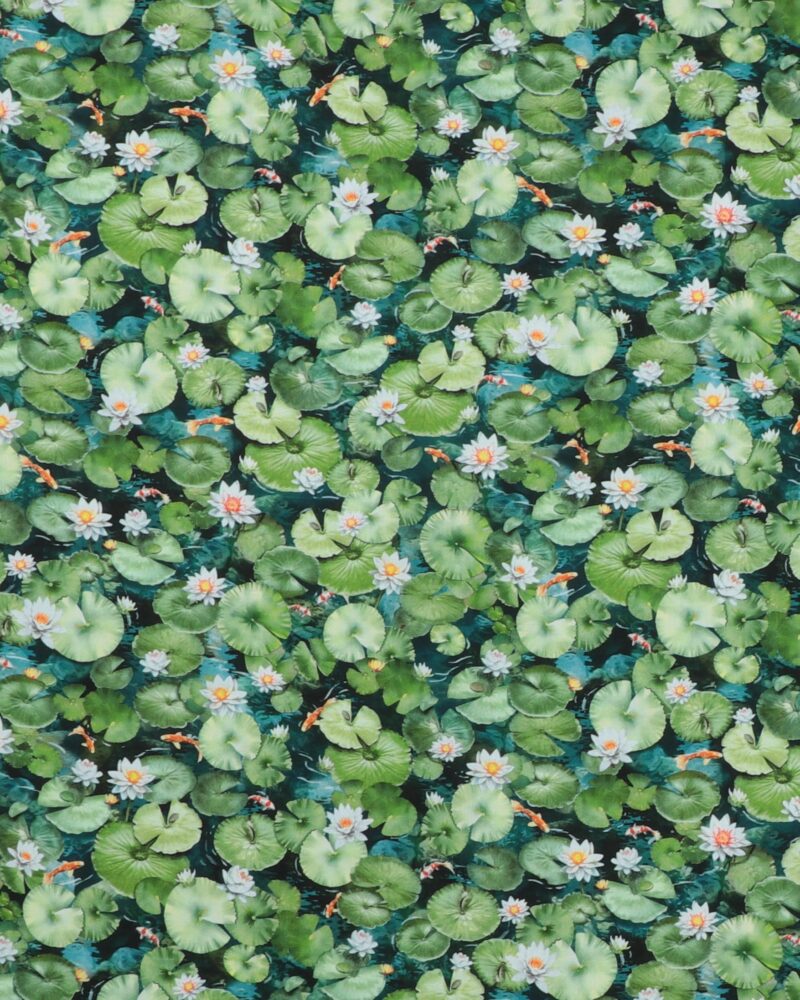 Koi pond, små Koikarper og åkander – Patchwork