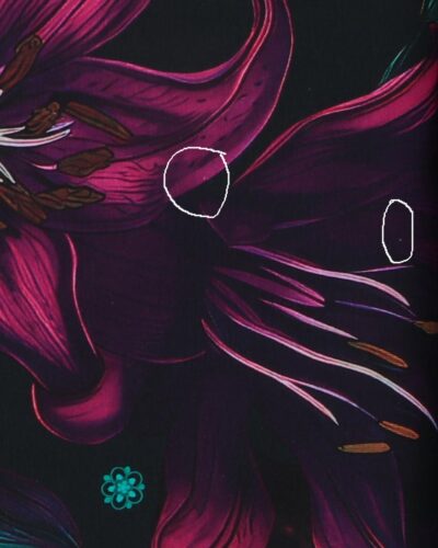 Gepard smugkigger - Jersey