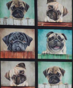 Mops, 8 motiver - Patchwork
