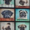 Mops, 8 motiver - Patchwork
