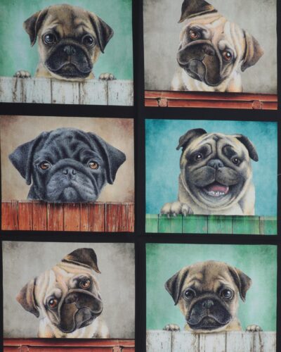 Mops, 8 motiver - Patchwork